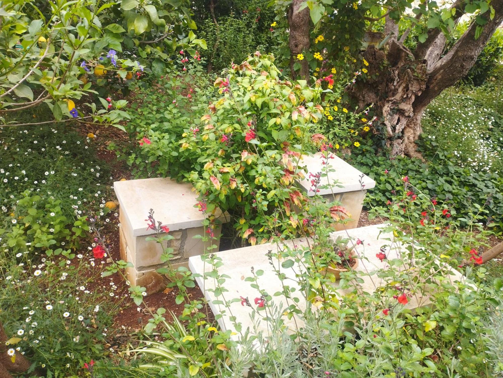 Olive Lemon Biophilic House & Lush Forest Garden 베모스 외부 사진
