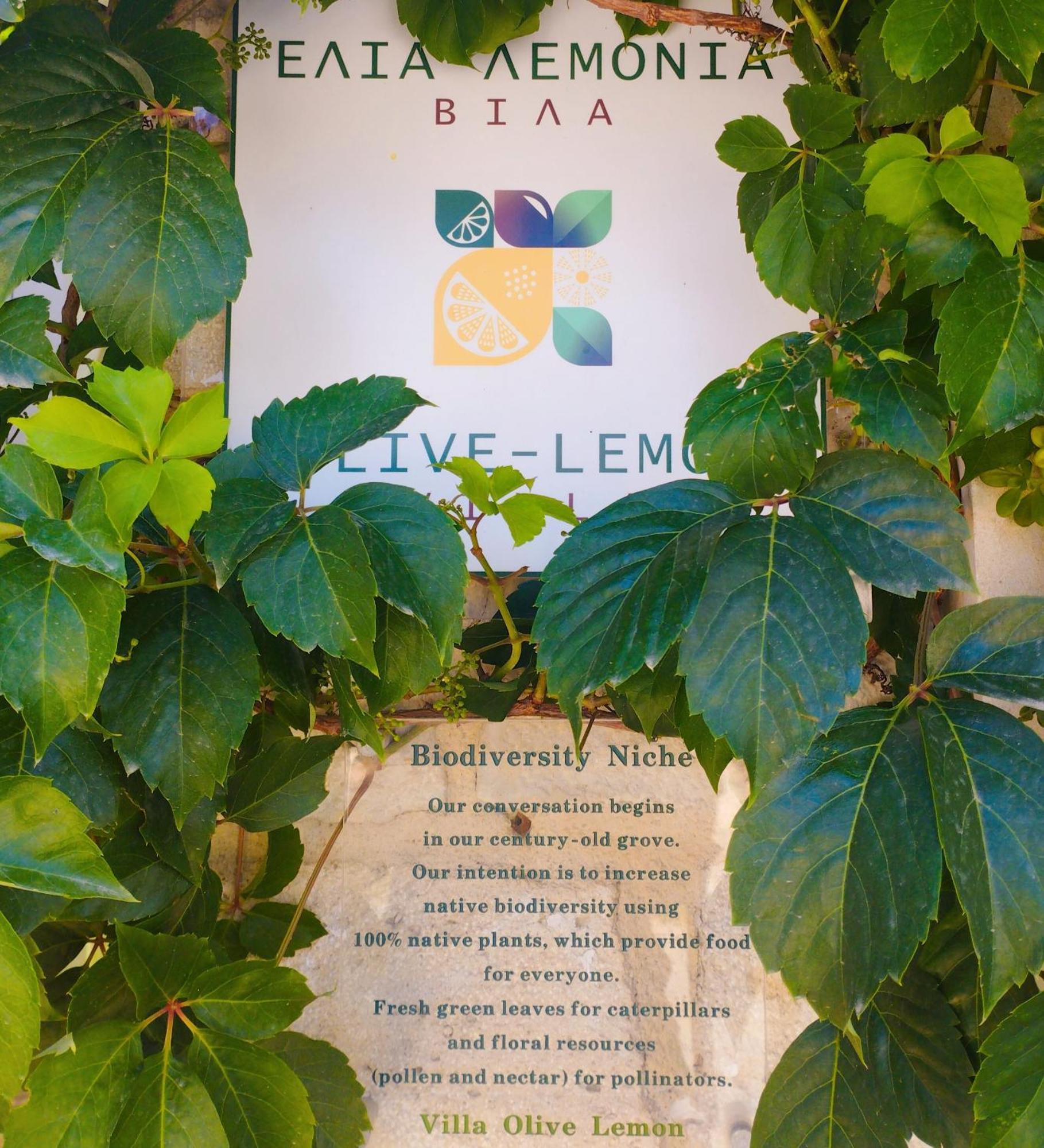 Olive Lemon Biophilic House & Lush Forest Garden 베모스 객실 사진